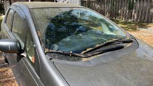 On Thursday’s show: Coping with seasonal allergies