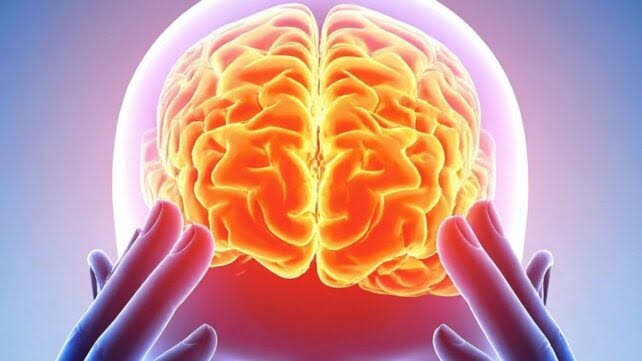 Scientists Found a Common Brain 'Fingerprint' Across 5 Psychedelics