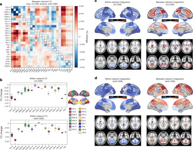 An international mega-analysis of psychedelic drug effects on brain circuit function