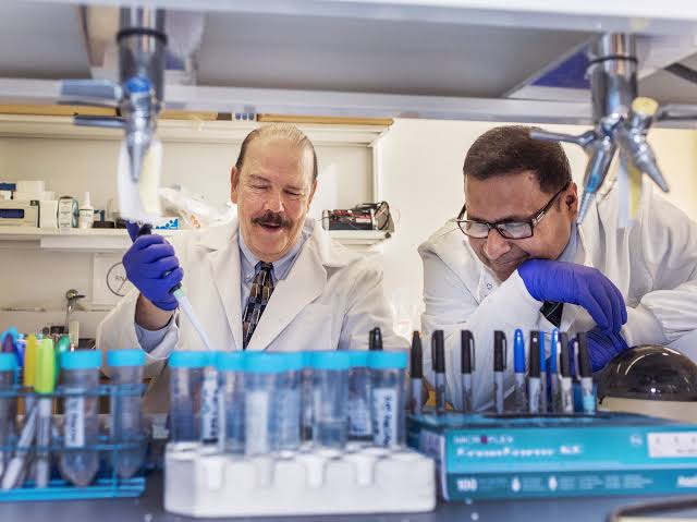 Innovative targeted therapy halts prostate cancer spread to the bone