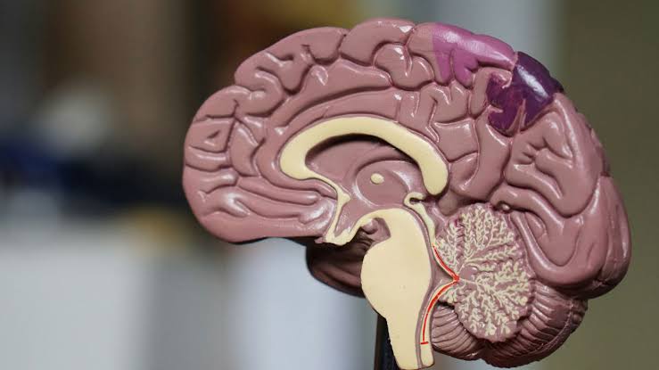 Doctors And Medical Experts Reveal The Most Terrifying Illnesses They’ve Ever Encountered (20 Answers)