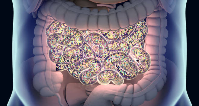 Distinct Nature of Parkinson’s Disease Gut Microbiome Identified