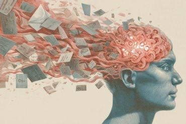 Predictive Brain: Why Categorization is an Action, Not an Idea