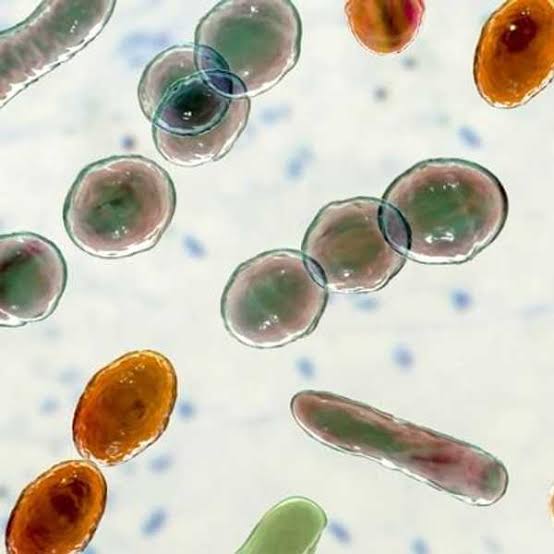 A flesh-eating bacteria was just discovered all over Long Island