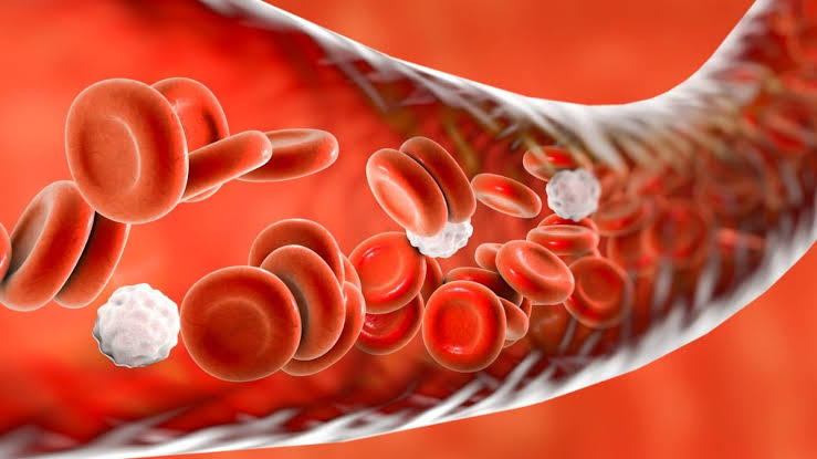 Scientists May Have Found a New Cause of High Blood Pressure, And a Way to Treat It