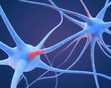 Scientists identify ‘neural fingerprint’ of psychedelic drugs in the brain