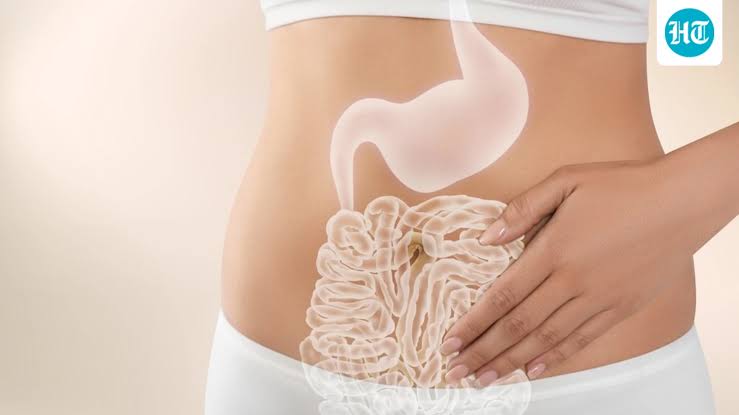 Molecular biologist shares three food categories you need in your diet to improve gut microbiome | Health
