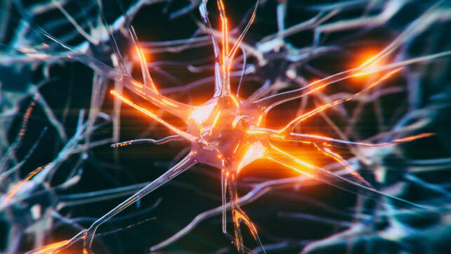 Scientists Think Vagus Nerve Stimulation Could Help Protect Your Memory