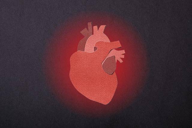 Heart Disease Is Preventable. So Why Does It Kill So Many of Us?