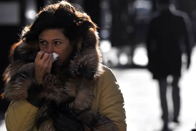 As allergy season returns to NYC, here's how you can save yourself from pollen