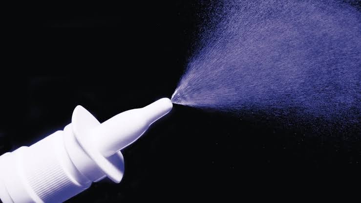 Scientists Restore Memory In Aging Mice Using a Simple Nasal Spray