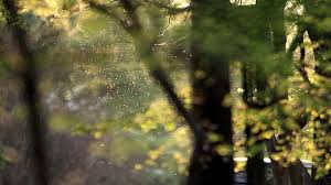 April means peak allergy season. Here's how to ease the symptoms