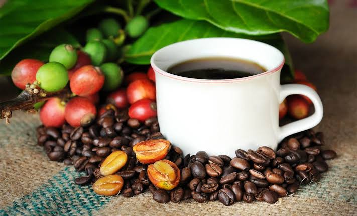 Scientists identify exactly how and why coffee fights aging and boosts overall health