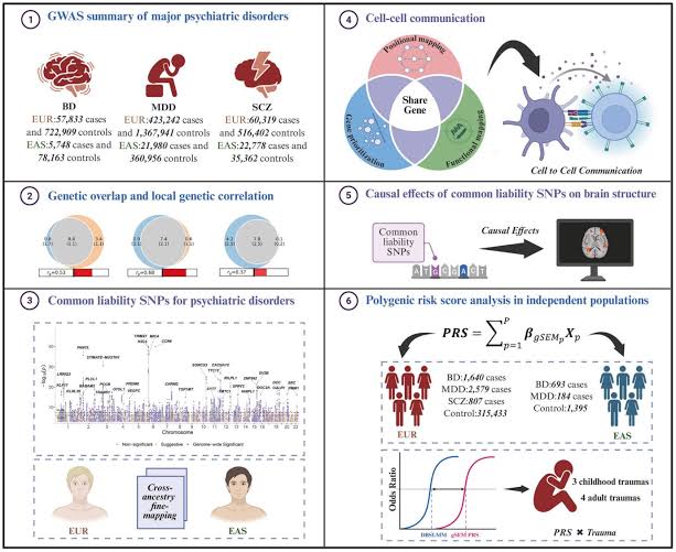 Genetic overlap between several mental health disorders could help predict vulnerability