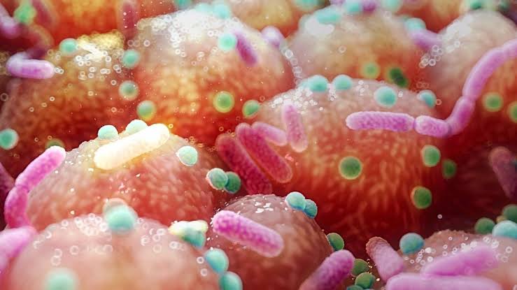 Parkinson's Link to Gut Bacteria Hints at Unexpectedly Simple Treatment