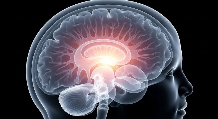 Short Workout May Rewire Brain for Better Memory