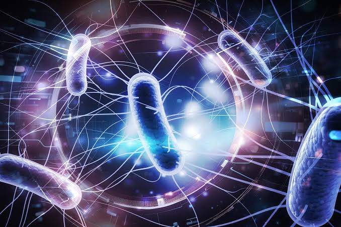 Naturally Occurring Bacteria Completely Eradicate Tumors in Mice With a Single Dose