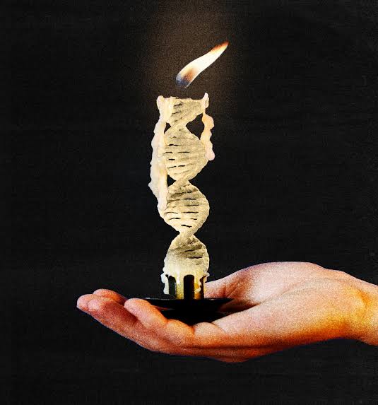 We may have less control over how long we live than previously thought