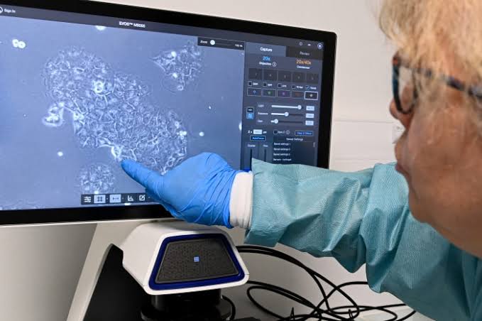 New Drugs for Pancreatic Cancer Show Remarkable Promise for Deadly Disease