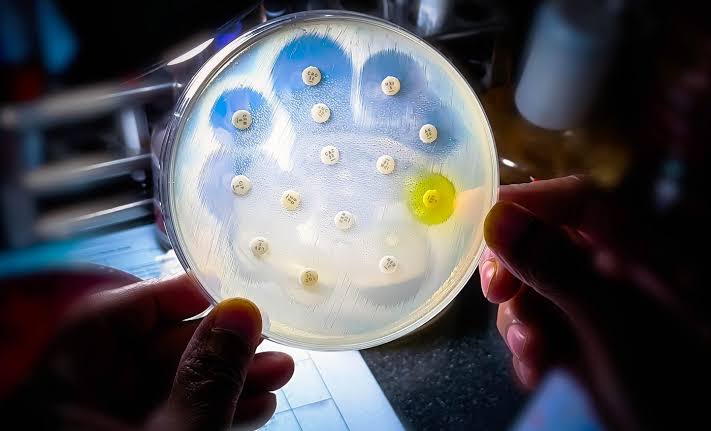 WHO warning: High percentage of common infections worldwide are no longer responsive to antibiotics