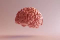 Omega-3 may impair traumatic brain injury recovery, study finds