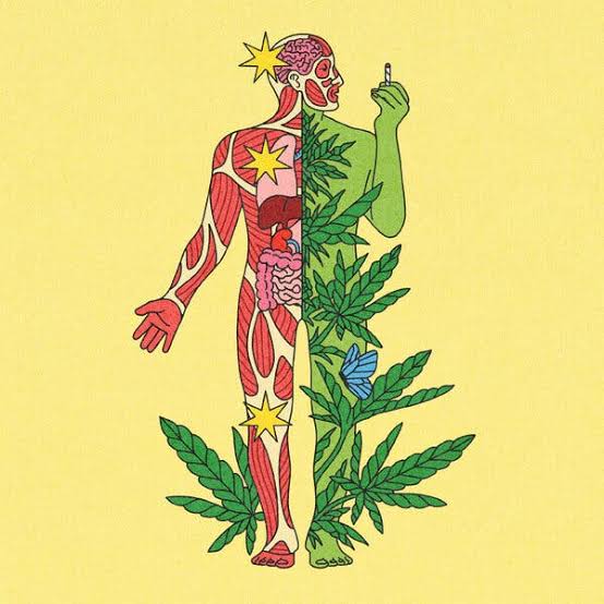 What Doctors Want You to Know About Cannabis and Health