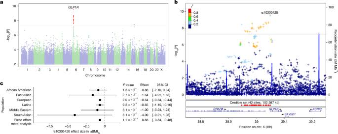 Genetic predictors of GLP1 receptor agonist weight loss and side effects