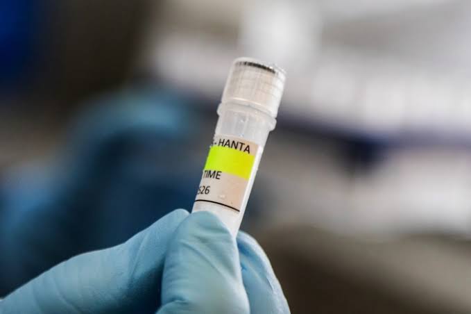 The Next Frontier for Hantavirus: Finding Vaccines and Treatments