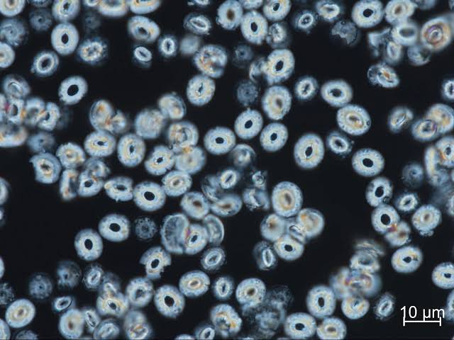 Scientists Rethink Extreme Warming After Surprising Ocean Discovery