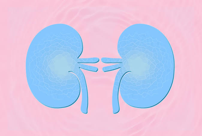 The Best Morning Drink for Better Kidney Health, According to Dietitians