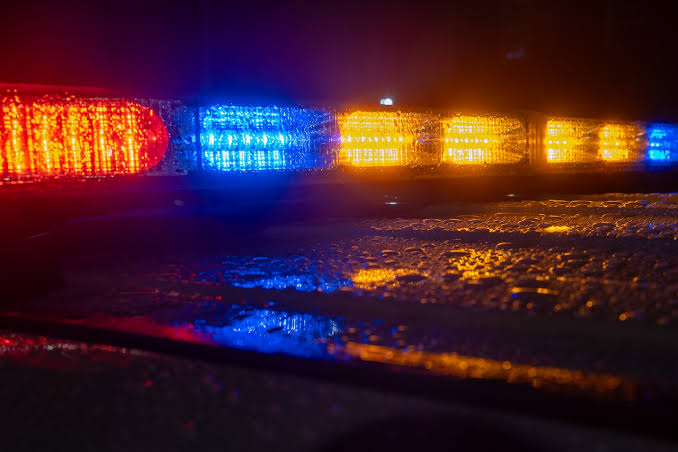 Rabid cat spotted in Western Mass. prompts warning