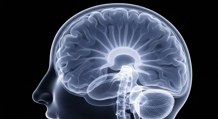 Neuroscience Reveals Complexity of Cannabis and Psychosis Link