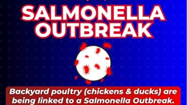 Abilene Taylor County Public Health District warns of Salmonella Outbreak