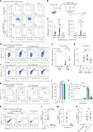mRNA vaccines engage unconventional pathways in CD8+ T cell priming