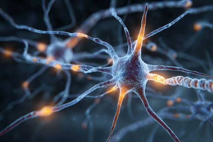 New Rare Genetic Neurodevelopmental Disorder Identified