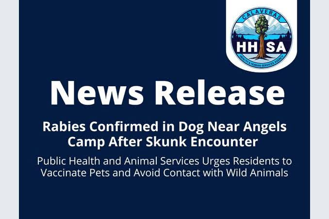 Dog Tests Positive For Rabies In Calaveras County