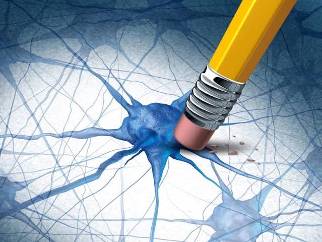 Alzheimer’s Breakthrough: Scientists Discover Key Protein May Prevent Toxic Protein Clumps in the Brain