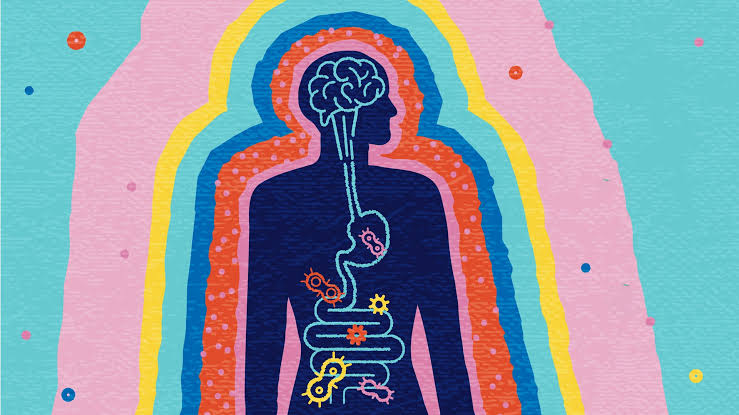 Stanford Scientists Just Discovered a Remote Control for the Brain That Could Reverse Memory Loss