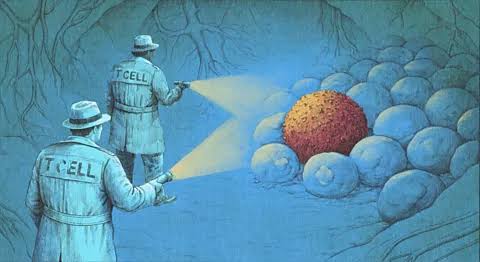 'It's incredible, like science fiction': How a new wave of immunotherapy is eliminating cancers