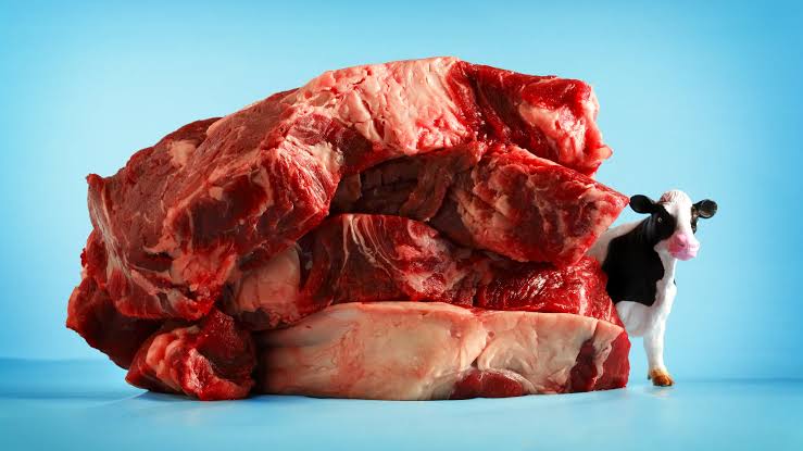 Why am I so tired? How to spot and tackle iron deficiency