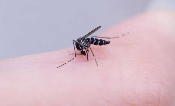 Malaria Has Been Controlling Where Humans Live for 74,000 Years