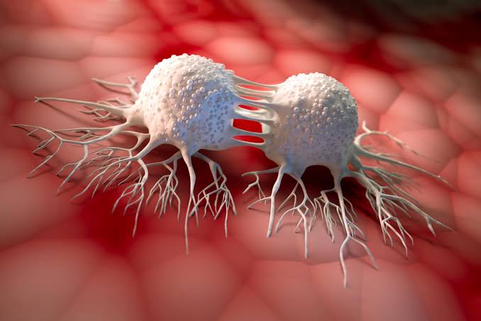 Cancer’s Secret Weapon? Scientists Reveal How Tumors “Learn” To Survive Treatment