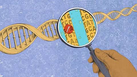 Nature vs nurture: How much of our personalities are determined at birth?