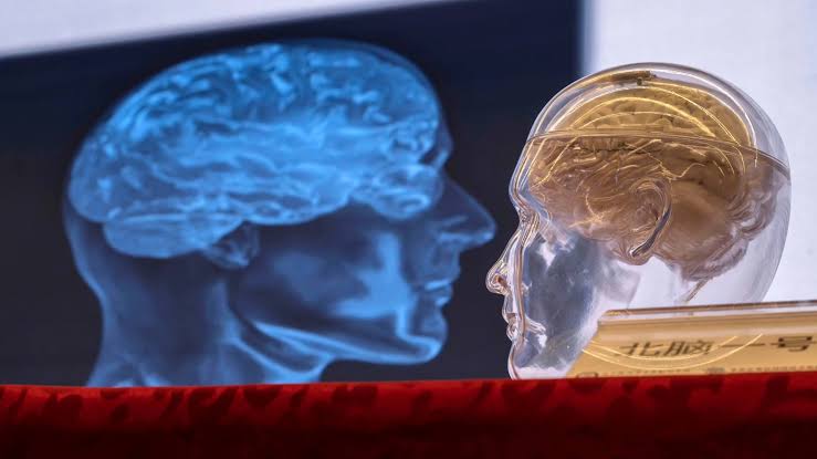 80 Going on 50: The Secret Behind ‘SuperAger’ Brains