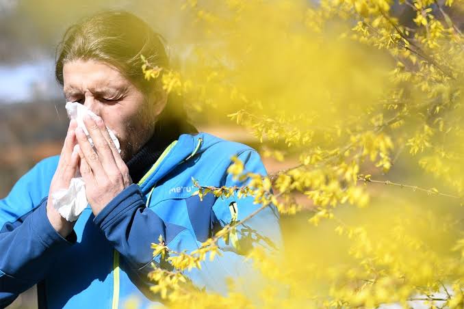 If you feel cranky and tired, you may have spring allergy fatigue