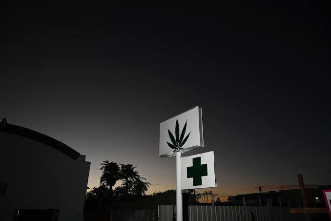 Opinion | Cannabis is neither harmless nor a cure-all