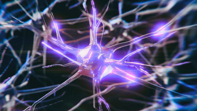 Alzheimer's Risk Gene Alters Brain Activity Early – But It May Be Reversible