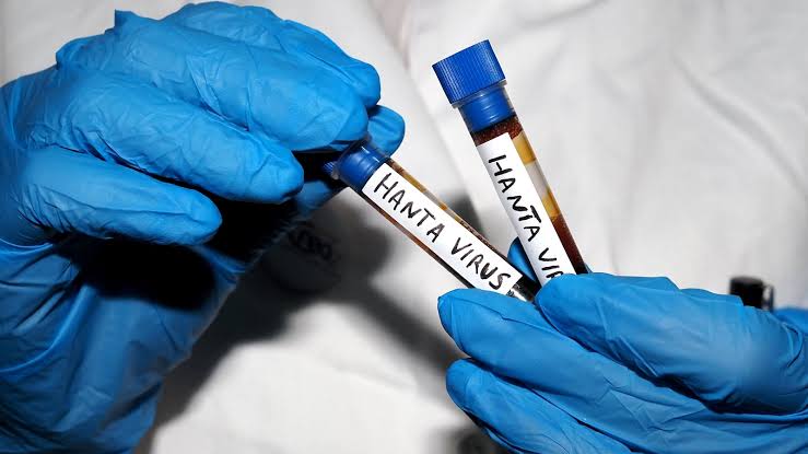 American Who Wasn’t On Doomed Cruise Is Feared to Have Caught Rat Virus