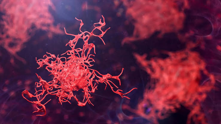 Scientists sound alarm as dangerous amoebas spread globally