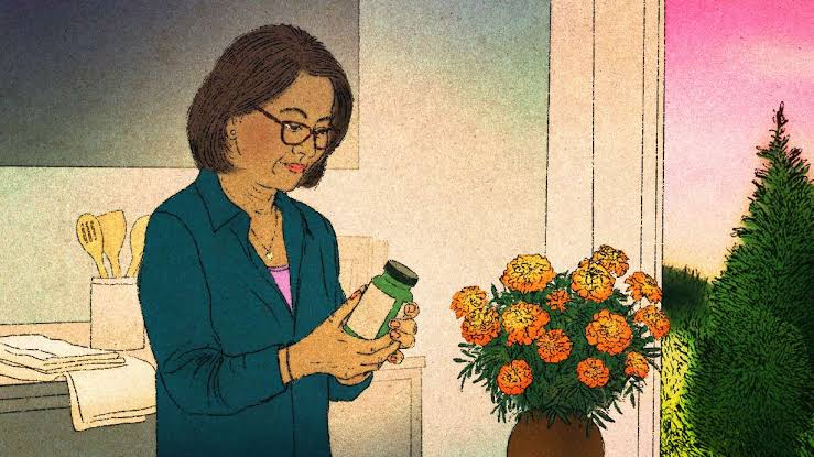 Menopause products are having a hot minute. Why doctors urge caution